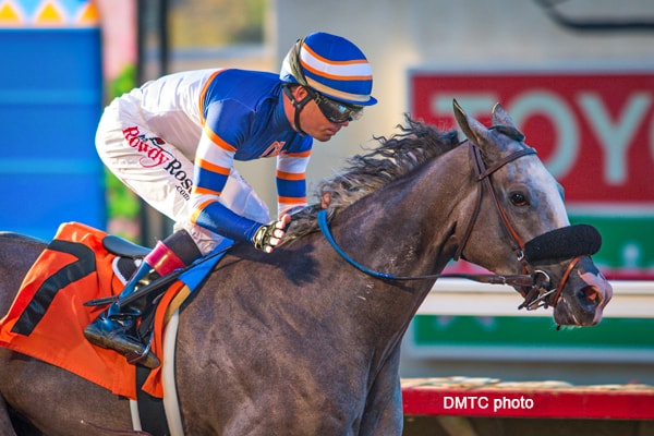 Enola Gray won seven of her 12 career starts, including the G3 Wilshire H retires with earnings of $585,100