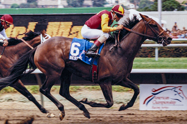 BEST PAL winning the first running of the Grade 1 Pacific Classic at the Del Mar Racetrack