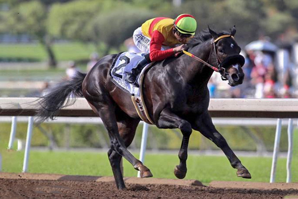 DANZING CANDY all alone winning the G2 San Felipe Stake on at Santa Anita. (Zoe Metz photo)