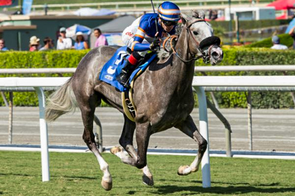 ENOLA GRAY at Santa Anita (Benoit Photo)