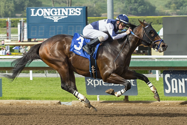 IRON ROB winning the San Pedro Stakes at Santa Anita. (Benoit Photo)