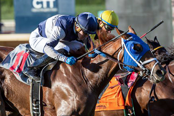 MR. ROARY winning the Eddie D Stakes at Santa Anita