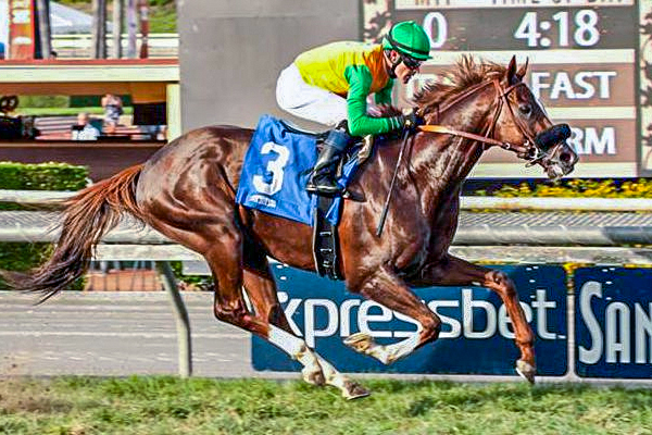 OM-1 Graded Stakes winner OM