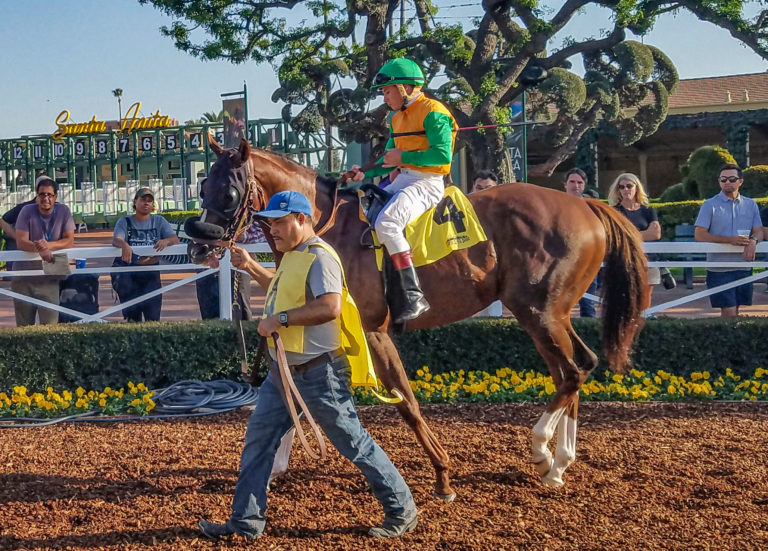 OM in the saddling paddock at Santa Anita (GVL photo)