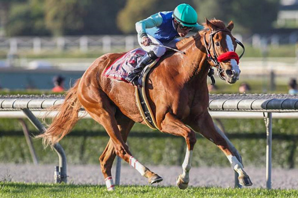 PAULNIA'S LOVE winning the G2 Buena Vista at Santa Anita. (Benoit Photo)