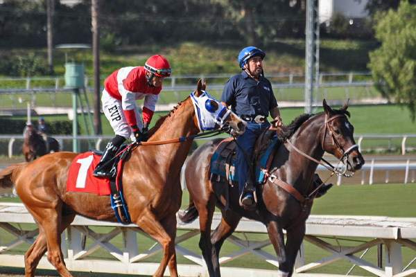 ROYAL F J at Santa Anita (Benoit Photo)