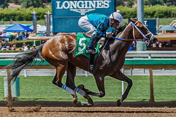 SURRENDER NOW winning the Landaluce Stakes at Santa Anita 7/3/17. (Benoit Photo)