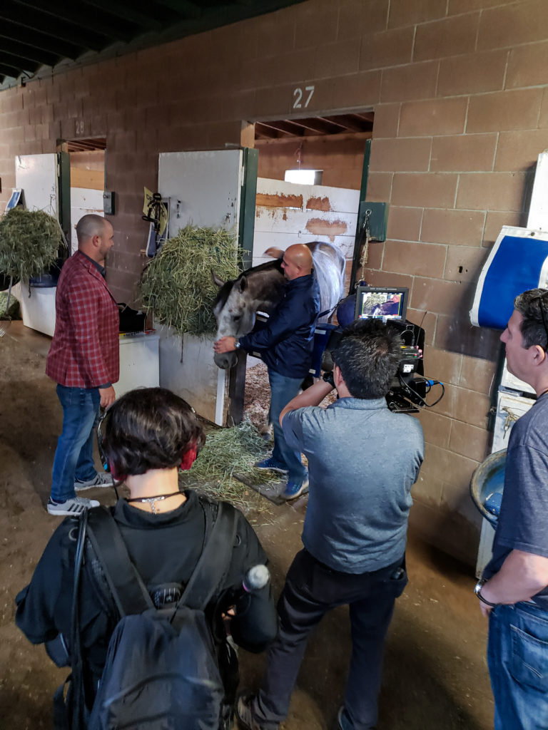 NBC Sports Network pre-race taping of AMERICAN THEOREM prior to G1 American Pharoah Stakes at Santa Anita, a "Win and You are In" Breeders Cup Race