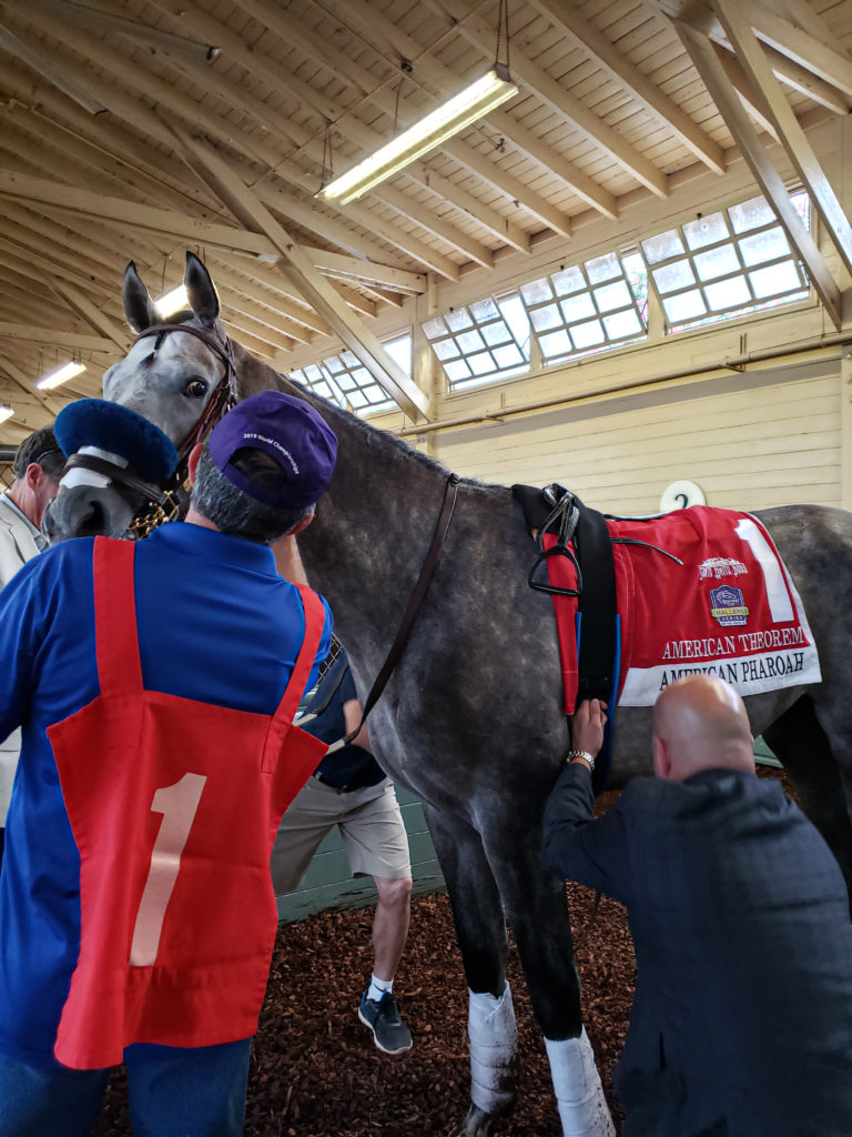 AMERICAN THEROEM saddling for the G1 American Pharoah Stake a Breeders' Cup "Win and You Are In" race at Santa Anita