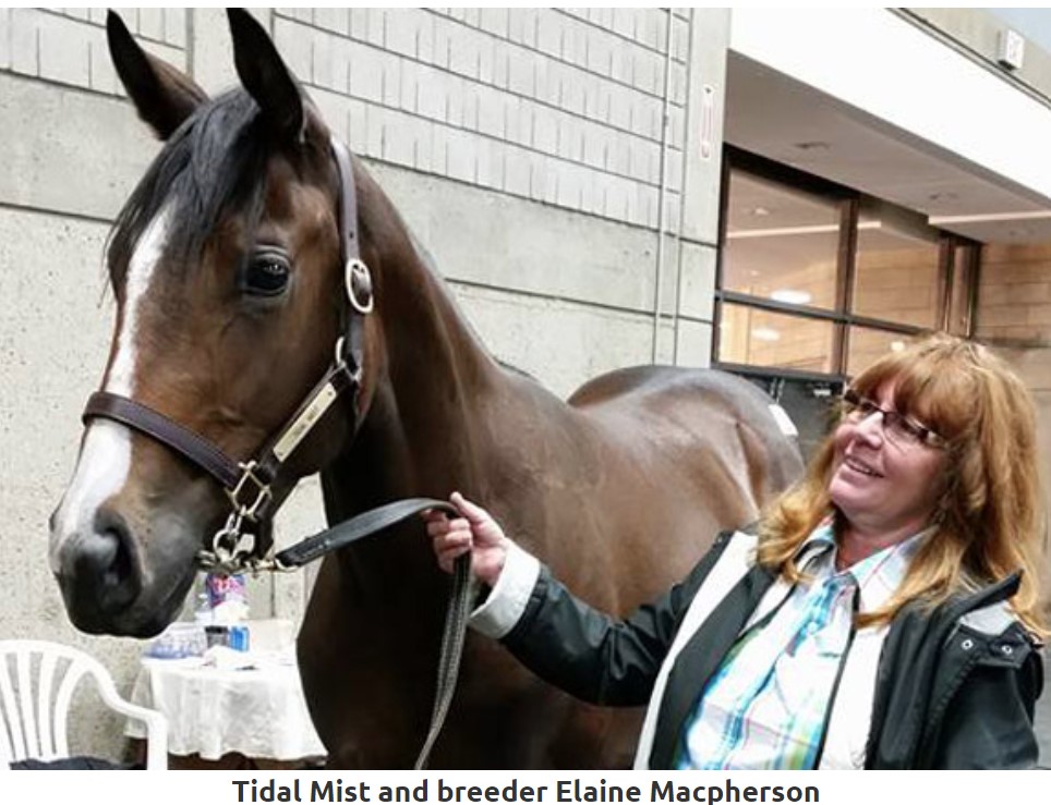 Breeder Elaine Macpherson