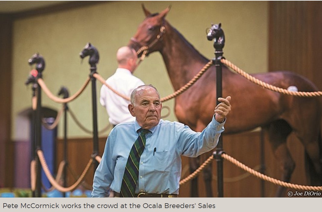 Pete McCormick Peter McCormick