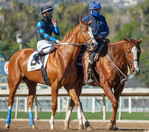 This Tea - Post Parade Santa Anita