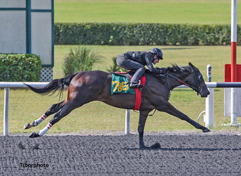 hip 786 colt by Pioneerof the Nile-Fancy Day on the track at the OBS April 2021 Spring sale (Tibor photo)