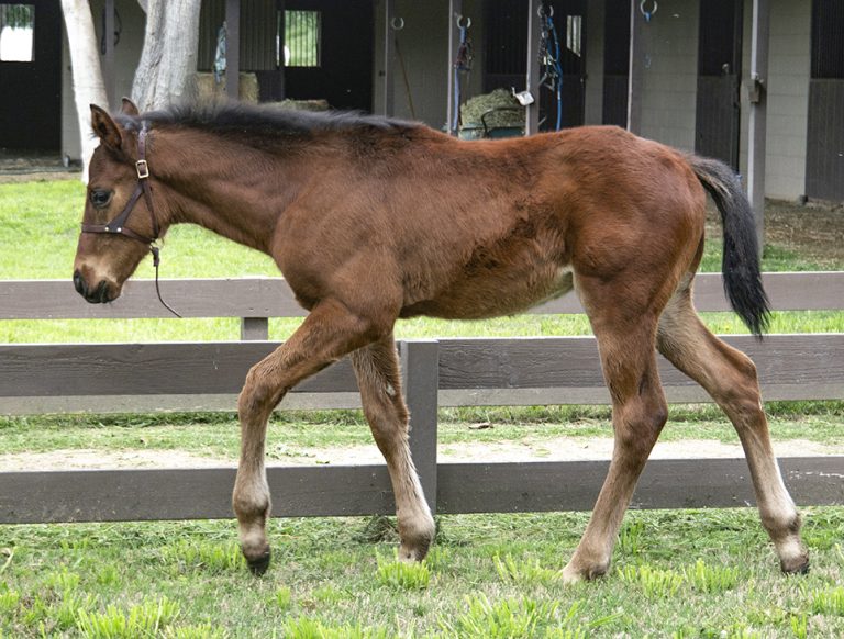 Moose Mitchelle on 3/28/19
