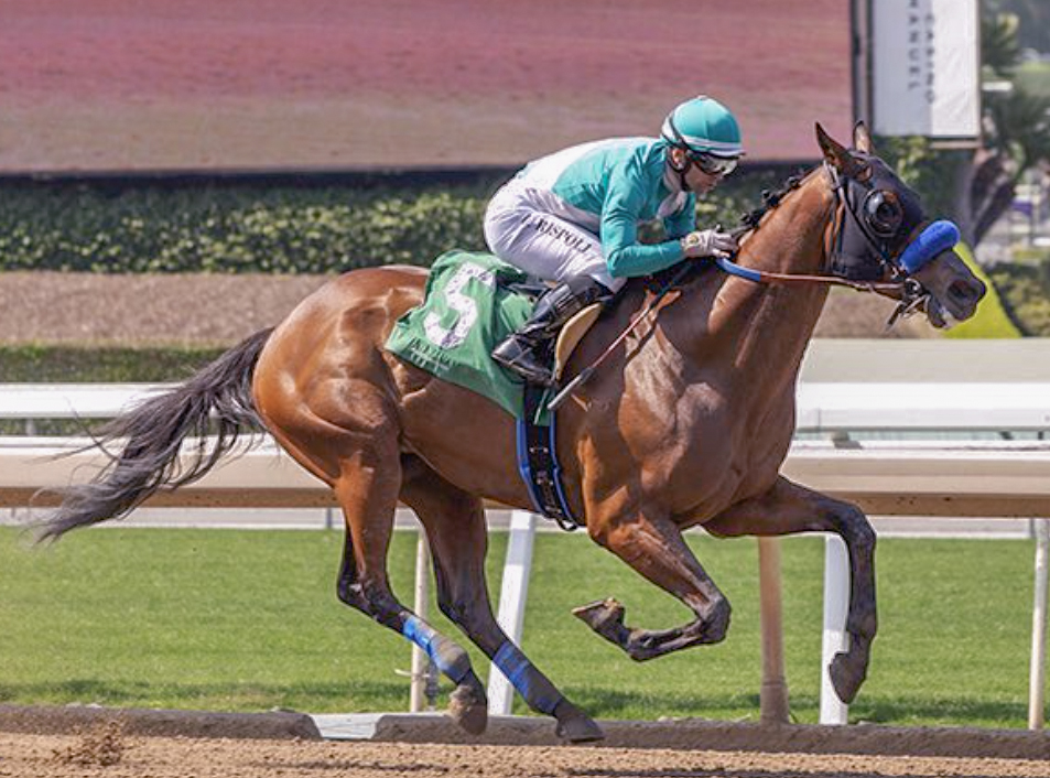 Moose Mitchell winning at Santa Anita on June 4, 2023. (Benoit Photo)