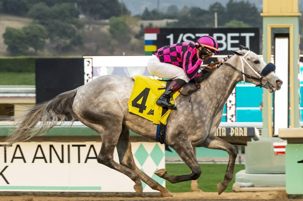 OUR MOONLIGHT OUR MOONLIGHT on her maiden win at Santa Anita (Benoit Photo)