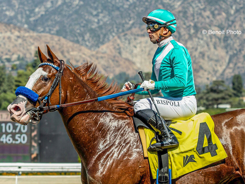 SNEAKER SNEAKER winning the Fran's Valentine at Santa Anita